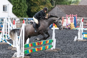 Class 5 - Fences not above 2'6